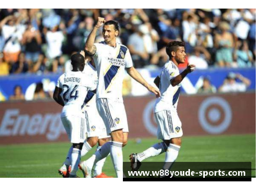 洛杉矶FC球员：在绿茵场上的耀眼之星