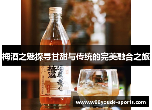 梅酒之魅探寻甘甜与传统的完美融合之旅